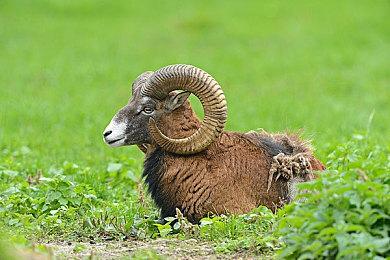 国人Mod大佬开启《龙之信条2》DLSS：可能崩溃